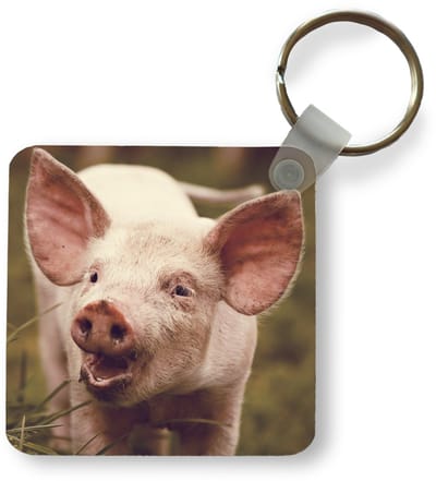 Sleutelhanger - Uitdeelcadeautjes - Varken - Portret - Dier - Plastic