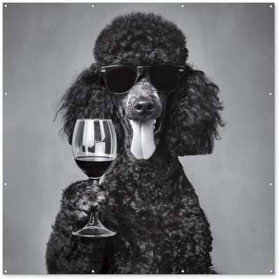 Tuinposter 200x200 cm - Tuindecoratie Hond - Krullen - Zonnebril - Wijn - Poster voor in de tuin - Buiten decoratie - Schutting tuinschilderij - Tuindoek muurdecoratie - Wanddecoratie balkondoek