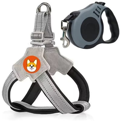 Gloovon® Hondentuig met Lijn - Y-vormig Anti-Trek Harnas - Reflecterend & Ademend - Verstelbaar - Grijs - Maat S (3-6kg)