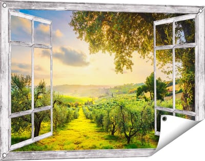 Gards Tuinposter Doorkijk Olijvenbomen - Olijvengaard - 90x60 cm - Tuindoek - Tuindecoratie - Wanddecoratie buiten - Tuinschilderij