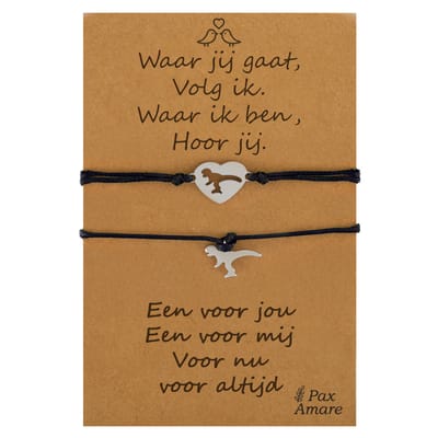 Vriendschapsarmbandjes voor 2 "Waar jij gaat, volg ik" - Dinosaurus - BFF Armbandjes met Persoonlijk Cadeau Kaartje - Zilverkleurig & Zwart - Elastisch Verstelbaar - Pax Amare