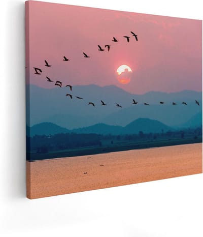Artaza Canvas Schilderij Vogels - 100x80 cm - Groot - Wanddecoratie Zonsondergang - Muurdecoratie Vogels - Schilderijen Op Canvas Bergen