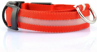 Lichtgevende Halsband Hond – LED Halsband – Maat S - 35/43 cm - Verlichting hond – Honden lampje - Hondenhalsband inclusief batterijen - Honden verlichting - Rood