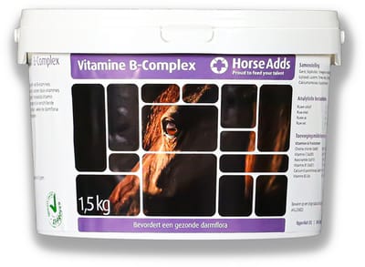Vitamin B-complex 1 kg - Horse Adds Paardensupplementen