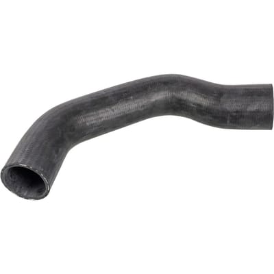 Radiateurslang FEBI BILSTEIN 172029