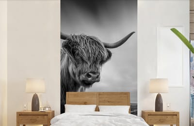 Behang - Fotobehang Koeien - Schotse hooglander - Natuur - Dieren - Zwart wit - Breedte 120 cm x hoogte 240 cm