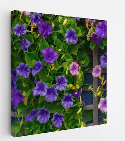 Saammp Canvas Schilderij - Klimop en Bloemen - Natuur - Abstract - 20x20 - Foto op canvas - Wanddecoratie - Muurdecoratie Woonkamer - Kantoor Decoratie