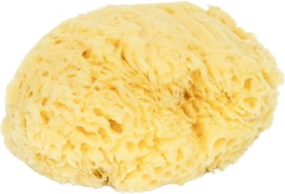 D&L Natuurspons Gebleekt - XS