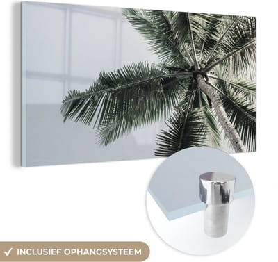 MuchoWow® Glasschilderij 40x20 cm - Schilderij acrylglas - Palmboom - Tropical - Zomer - Foto op glas - Schilderijen