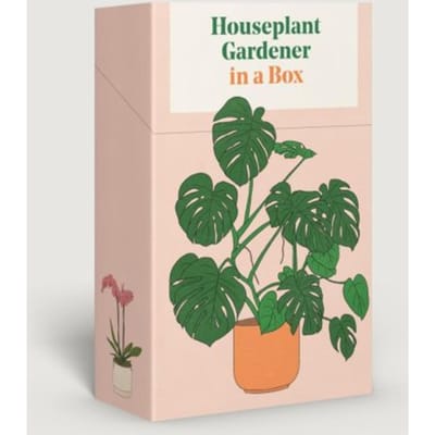 Houseplant Gardener In A Box - Jane Perrone
