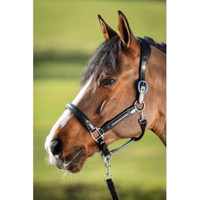 Lederen halster voor paarden HFI Wave