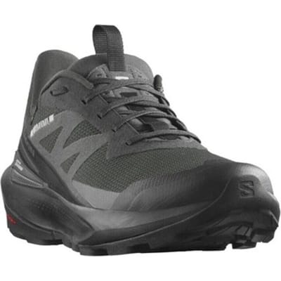 Wandelschoenen Salomon Elixir Activ Gtx Gore-tex