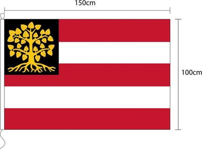 Vlag van Den Bosch 100 x 150cm