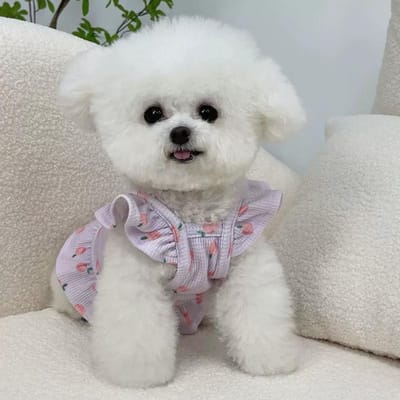 Vêtements pour chien de compagnie Printemps Été Bretelles Ours en Peluche Teddy Yorkshire Schnauzer Petit Chien Gilet Princesse Fin XL violet