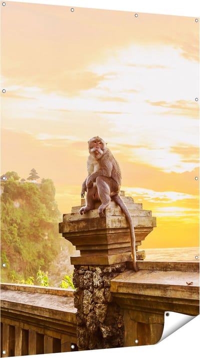 Gards Tuinposter Aap op de Uluwatu Tempel in Bali - 120x180 cm - Tuindoek - Tuindecoratie - Wanddecoratie buiten - Tuinschilderij