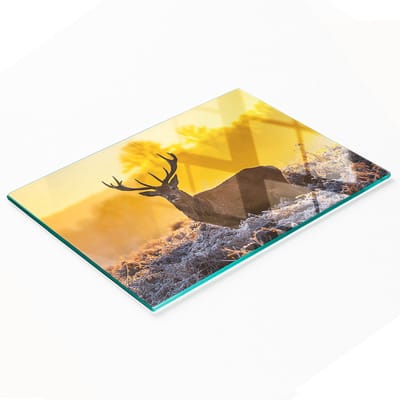 Decoratieve glazen snijplank voor de keuken, zonsopgang boven een hert, 80x52 cm