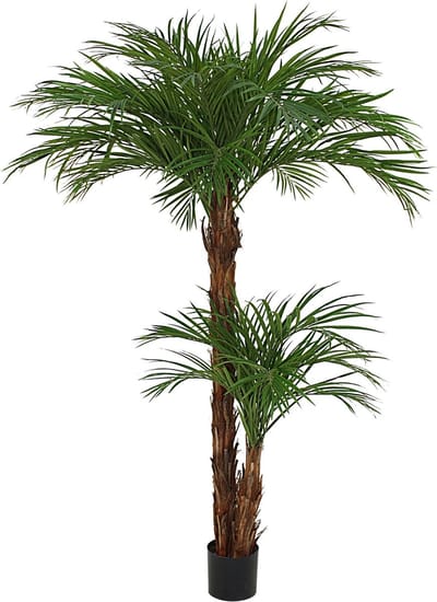 Designplants Areca Palm Kunstplant