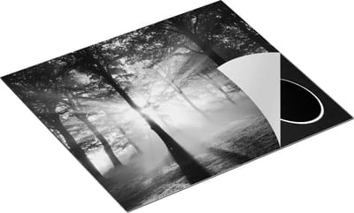 Chefcare Inductie Beschermer Zon tussen de Bomen - Zwart Wit - 60x50 cm - Afdekplaat Inductie - Kookplaat Beschermer - Inductie Mat