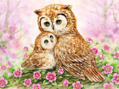 Diamond painting 30x40cm - uilen ( ronde steentjes )