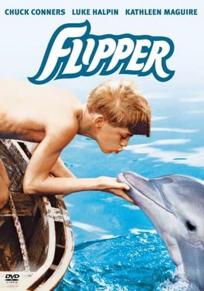 Film over een Vriendelijke Dolfijn en een Ontroerende Vriendschap