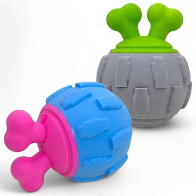 Dailygoody - Hondenspeelballen - Set van 2 - Ideaal voor apporteerspelletjes - Veilig en duurzaam - Voor actieve honden - Geschikt voor binnen en buite