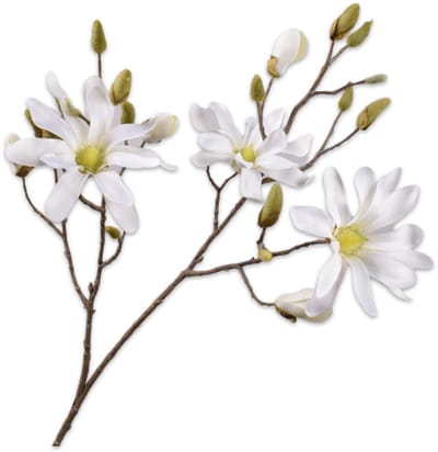 Silk-ka Kunstbloem-Zijden Bloem Magnolia Tak Wit 116 cm