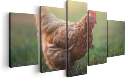 Artaza Canvas Schilderij Vijfluik Kip in het Gras - 100x50 - Foto Op Canvas - Canvas Print