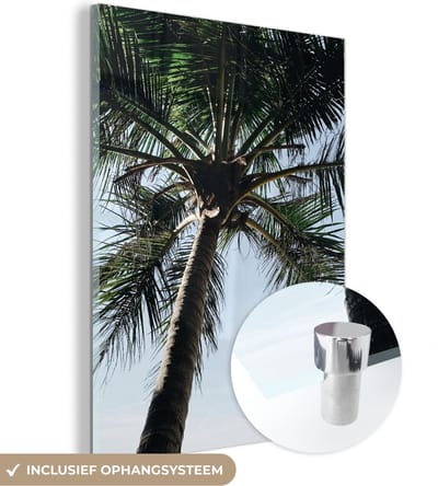 MuchoWow® Glasschilderij 120x160 cm - Schilderij acrylglas - Palmboom - Lucht - Tuinposter - Tuin - Decoratie tuin - Foto op glas - Schilderijen