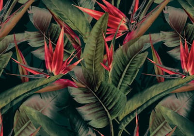 Fotobehang BirdParadiseGreen DD120243 A.S. Création Cuba Groen Rood Vlies 280 x 400 cm (4 Teile) 3D Fotobehang op maat