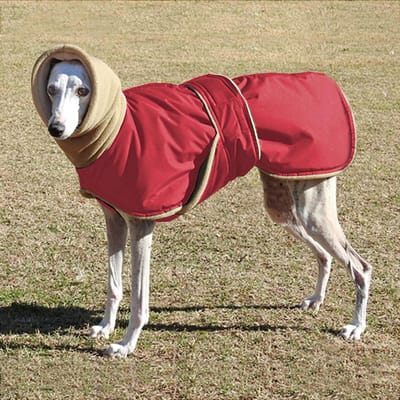 Super Warme Dikke Hondenkleding Waterdichte Hondenjas Jas Voor Middelgrote Grote Honden Windhond Wolfshond Herder Kleding 3XL