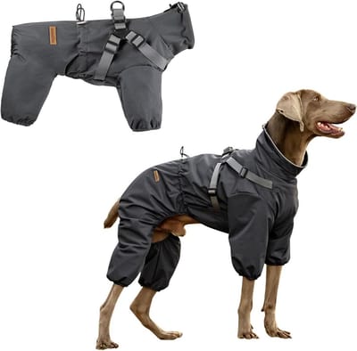 Waterdichte Hond Regenjas met Harnas voor Kleine en Middelgrote Honden, Verstelbaar en Reflecterend