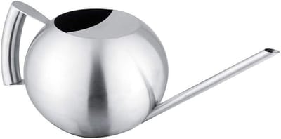 Roestvrijstalen gieter - Waterkruik planten - Planten water geven - Ergonomische handgreep - 1000 ml capaciteit - Zilver