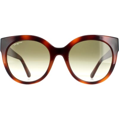 Salvatore Ferragamo Cat Eye Dames Tortoise Green SF1031s