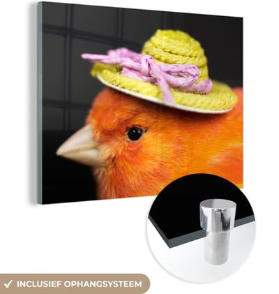 MuchoWow® Glasschilderij 160x120 cm - Schilderij acrylglas - Vogel - Hoed - Oranje - Foto op glas - Schilderijen