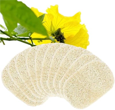 Dailygoods- Loofah-spons 10 stuks - Natuurlijke loofah - 13 x 8 cm - Zeepbakje - Accessoires voor douche/badkamer - Biologisch afbreekbaar