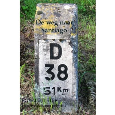 De Weg Naar Santiago - Ronald Lijster