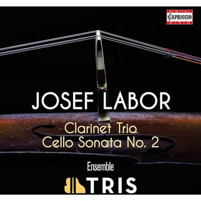 CD JORG WACHSENEGGER, HOLGER BUSCH, GE - Klarinet Trio / Cellosonate C5446 Capriccio 2022 Oostenrijk Klassiek Gebruikt black