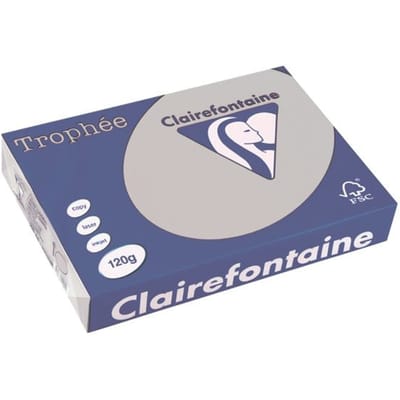 Clairefontaine Lichtgrijs A4 Gekleurd papier 120 grams (250 vel)