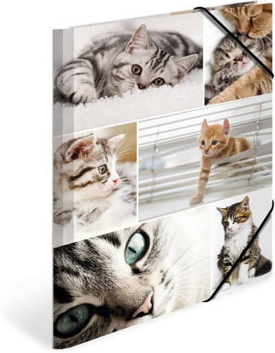Verzamelmap A4 Dieren Katten voor Kinderen - Stabiele Kartonnen Omslagmap met Elastiek