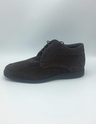 Gant
