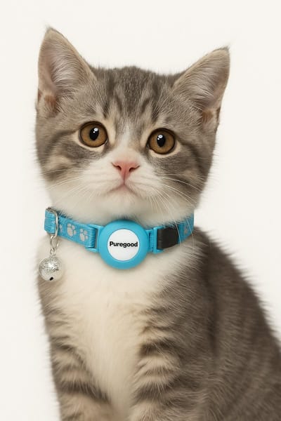 Kattenhalsband 2x - Reflecterend, Veiligheidssluiting met Airtag Houder – Verstelbare Halsband voor Kat & Kitten – Zwart, Roze & Blauw – Geschikt voor Grote & Kleine Katten