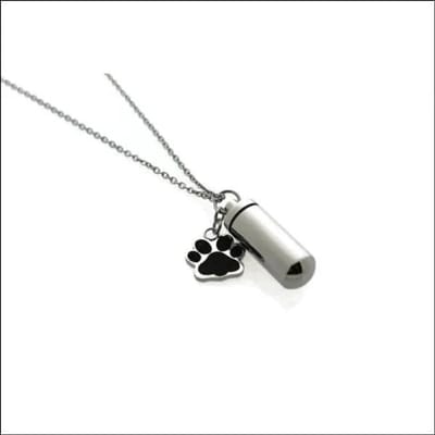 Aramat Jewels | Halskettingen | Zilverkleurige Ashanger Buis met Pootje Staal – Gedenksieraad RVS | | | |14mm | Staal | Volwassenen | Verkleurd niet