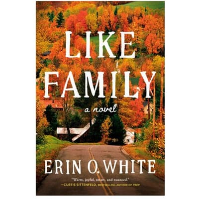 Like Family - Erin O. White