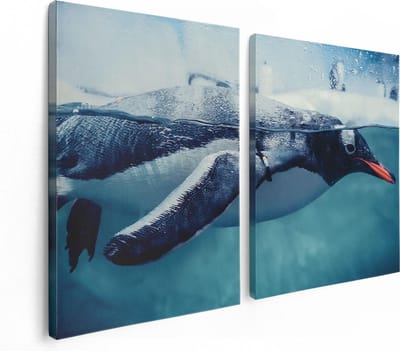 Artaza Canvas Schilderij Tweeluik Pinguïn Zwemt in het Water - 120x80 - Foto Op Canvas - Canvas Print