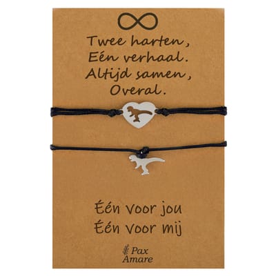 Vriendschapsarmbandjes voor 2 " Twee Harten, Een Verhaal ∞" - Dinosaurus - BFF Armbandjes met Persoonlijk Cadeau Kaartje - Zilverkleurig & Zwart - Elastisch Verstelbaar - Pax Amare