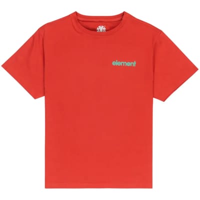 Bedrukte T-shirt kind Element Stone