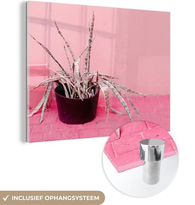 MuchoWow® Glasschilderij 40x30 cm - Schilderij acrylglas - Zomer - Roze - Planten - Foto op glas - Schilderijen