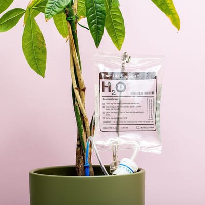 Druppel zak Automatisch Watergeef Systeem | Plantenwaterer - Life Support Irrigatieapparaat | Druppelaar kamerplanten - | Planten Watergever met Druppelsysteem 350ml