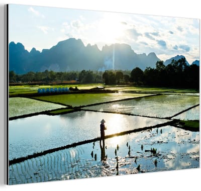 Aluminium schilderij 180x120 cm - Wanddecoratie metaal - Het geweldige landschap van een rijstveld - Metalen muurdecoratie woonkamer - Decoratie industrieel - Foto op dibond - Industriële accessoires slaapkamer