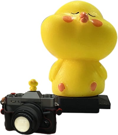 Camera Accessoire - Beschermkapje - Stofvrij Houden - Unieke Vormen - 2.5x1.6x2 cm